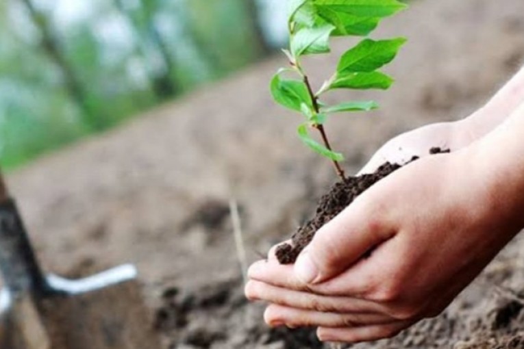 باجة: الأمطار الحالية ستحسن الزراعات لكن تأثيرها على السدود ضعيف