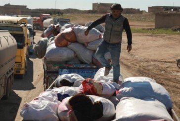 المنظمة الدولية للهجرة: عبور 14 شاحنة مساعدات من تركيا إلى شمال سوريا