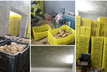 نابل: مصادرة 12.6 طنا من البطاطا