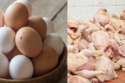مبادرة لبيع الدجاج والبيض بسعر التّكلفة في هذه المناطق