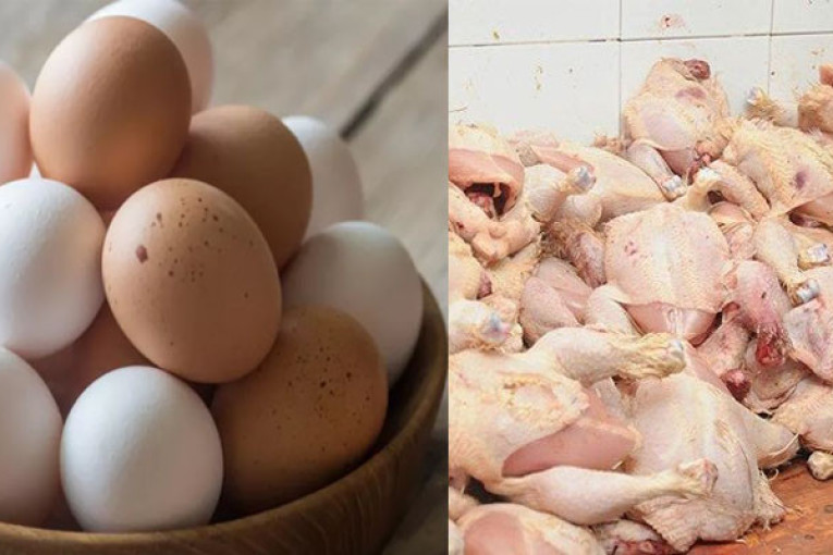 مبادرة لبيع الدجاج والبيض بسعر التّكلفة في هذه المناطق