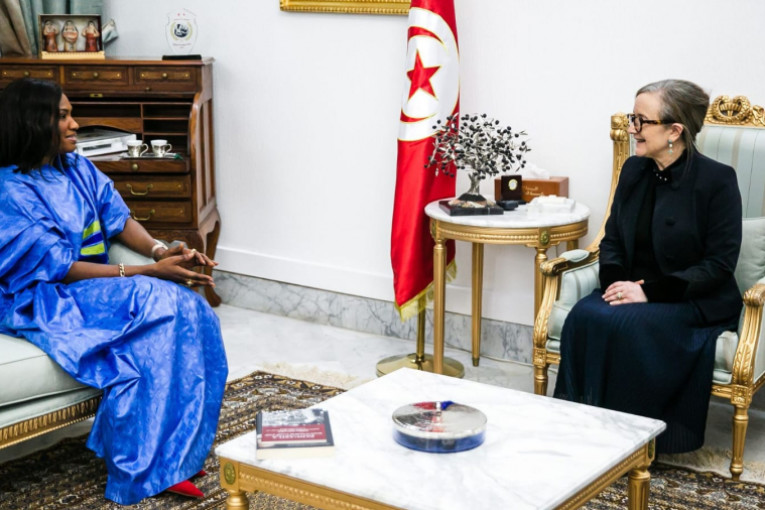 ملف الهجرة على طاولة رئيسة الحكومة ونائبة عميدة السفراء الأفارقة