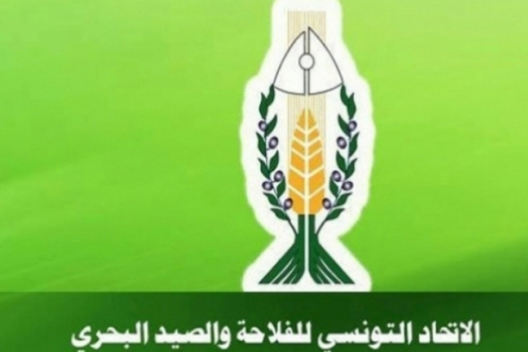 وزارة الفلاحة: تصرف الدولة في الموارد المائية ناجح رغم الصعوبات