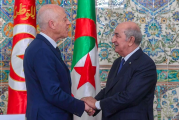 تبون: تونس تتعرّض لمؤامرة والجزائر ستقفُ معها أحب من أحب وكره من كره