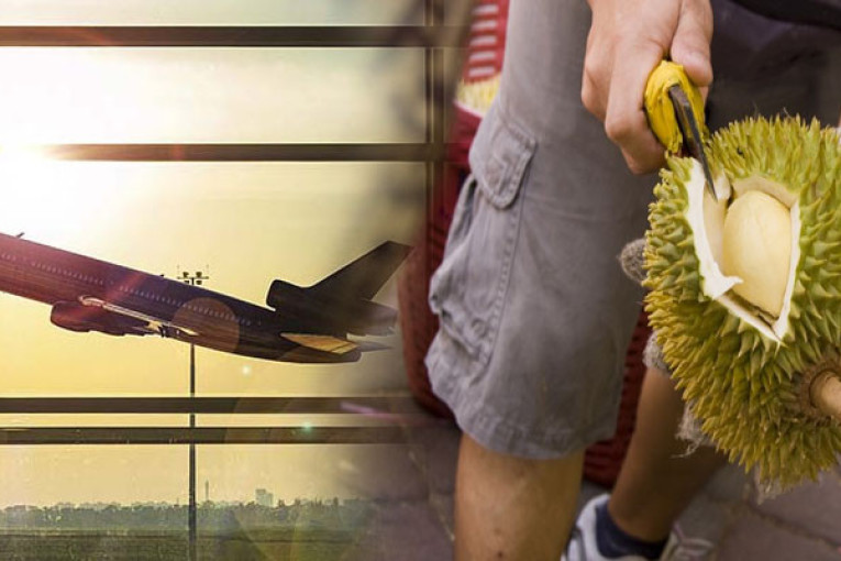 ثمرة فاكهة تجبر طائرة تركية على العودة من منتصف الطريق والهبوط اضطراريا