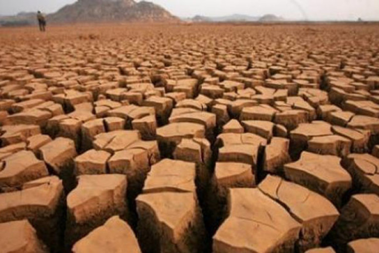 بينها تحجير غسل السيارات: وزارة الفلاحة تصدر قرارات حول إستعمالات المياه