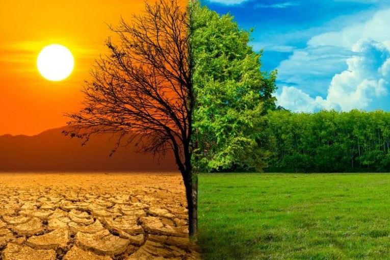 مسؤول بوزارة الفلاحة: تونس ودول حوض المتوسط هي الأكثر تضررا من التغيرات المناخية