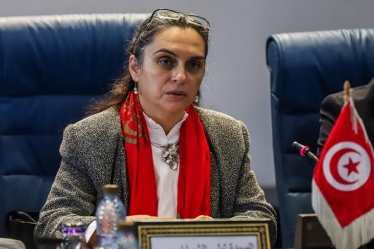 وزيرة البيئة: منظومة الاقتصاد الدائري في تونس بصدد التطوير