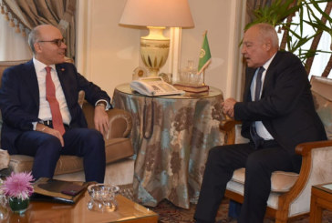 وزير الخارجية يلتقي في القاهرة الأمين العام لجامعة الدول العربية
