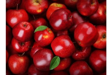 بداية من اليوم : الانطلاق في تنفيذ قرار تحديد سعر التفاح