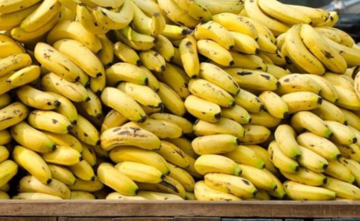 بن عروس: حجز 56 طنا من الموز في نعسان (صور)