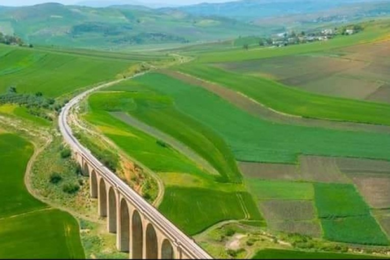 أمطار باجة.. توقعات بتحسّن وضعية الزراعات الكبرى والاشجار المثمرة والمخزون المائي للتربة