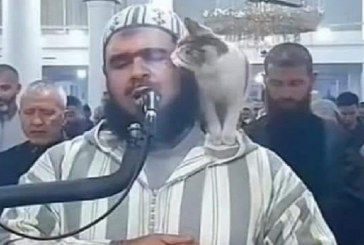 الإمام وليد مهساس يتحدث عن حادثة القطة ويتوجه بكلمة لمن انتحل شخصيته