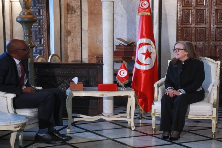 رئيسة الحكومة تلتقي المدير العام للوكالة الافريقية للتأمين التجارى