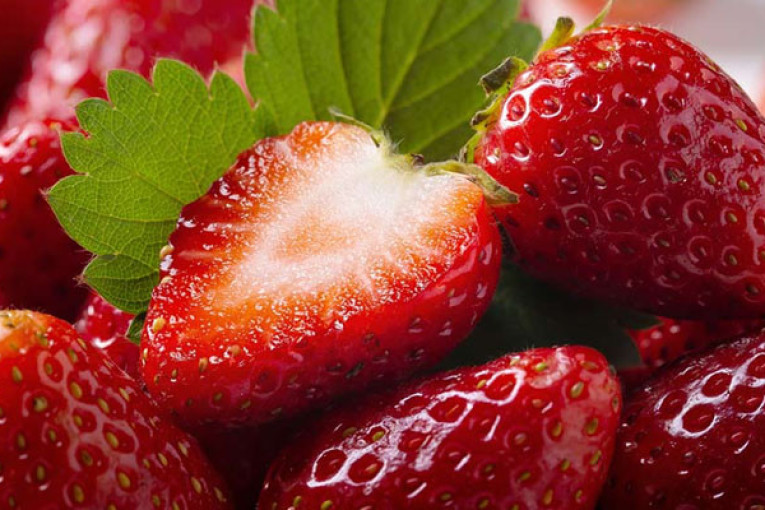 باجة: مزارعو الفراولة بنفزة ينبهون من تلف صابتهم بسبب نقص المياه