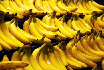 القصرين: حجز 376 كغ من الموز وإعادة ضخها بالمسالك القانونية