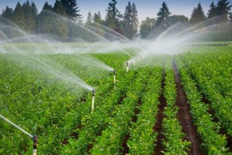 بنزرت: إجراءات جهوية عاجلة لإنجاح موسم الزراعات الكبرى