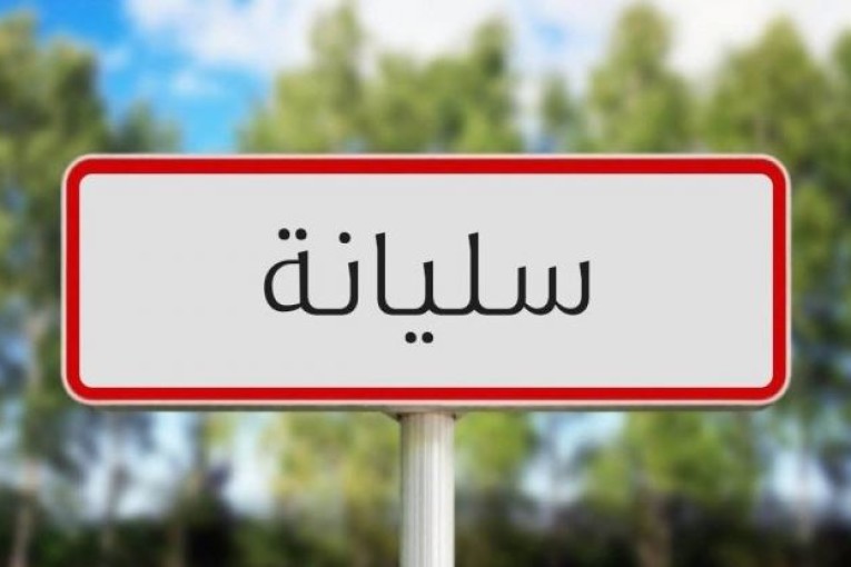 سليانة: تخصيص 300 ألف دينار لبرنامج التمكين الاقتصادي لسنة 2023