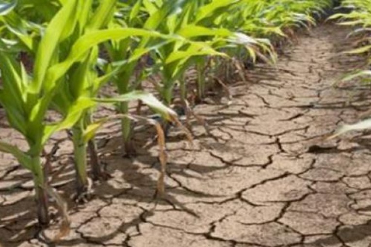 القصرين: عجز مائي حادّ يتسبب في تقلّص منتوج المركّب الفلاحي الصناعي ‘وادي الدرب’