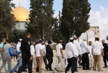 الخارجية الفلسطينية تحذر من مخاطر حملات التحريض ضد القدس والأقصى