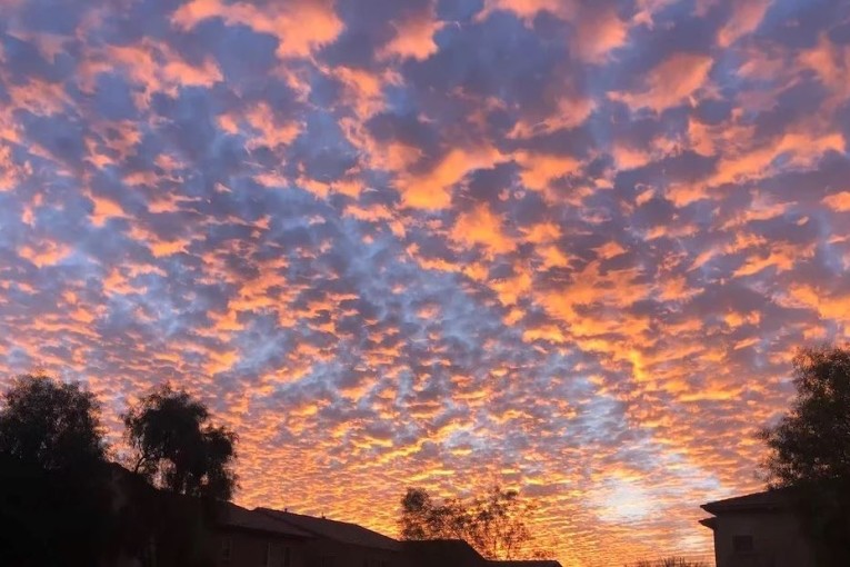 الليلة: أجواء مغيّمة جزئيا بالشمال والوسط وقليلة السّحب بالجنوب