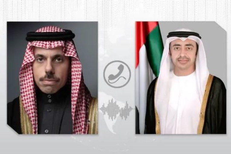 وزير خارجية الإمارات يثمن دور السعودية في إجلاء رعاياها من السودان