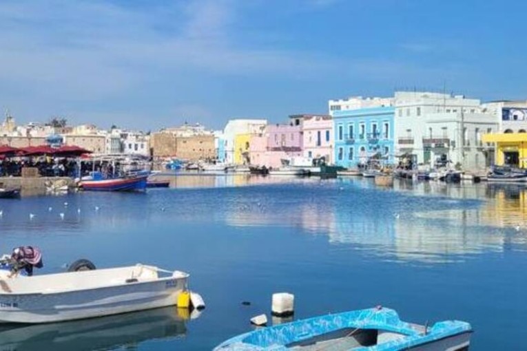 من 3 إلى 7 ماي 2023 : ولاية بنزرت تحتضن فعاليات الدورة الأولى من’’معرض بنزرت للفلاحة’’