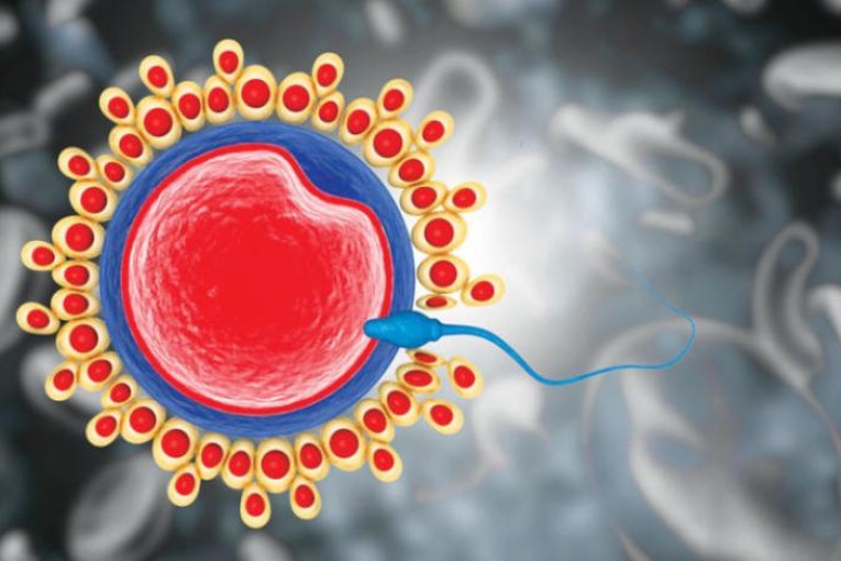 علماء يطوّرون حيوانات منوية روبوتية مطبوعة بالأبعاد الثلاثية