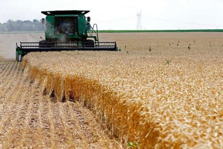 بقيمة 70 مليون دينار: توقعات بالتصريح بـ400 مشروع فلاحي في بنزرت