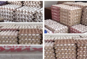 تونس العاصمة: حجز 33900 بيضة و660 كلغ من الكسكسي المدعم