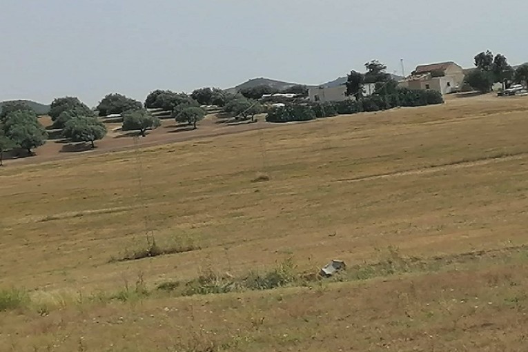 زغوان: استرجاع 228 هكتارا من أراضي الدّولة