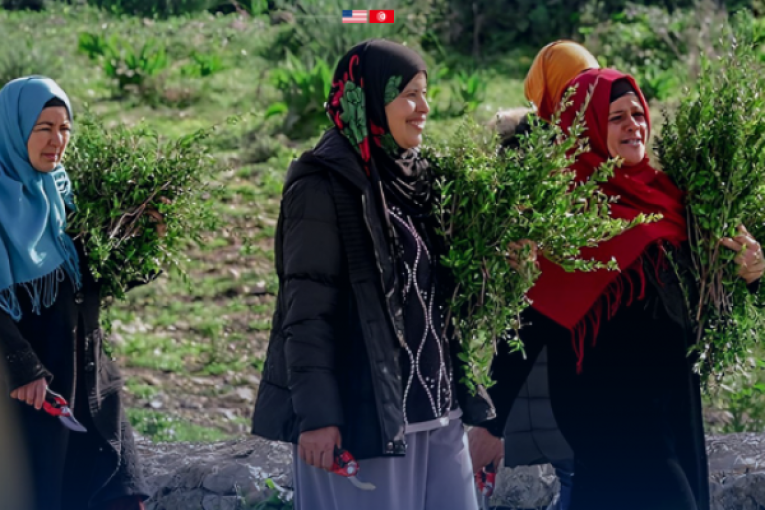 السفارة الأمريكية تفتح باب الترشّح للحصول على منحة بـ1.5 مليون دولار لفائدة المرأة العاملة في الفلاحة