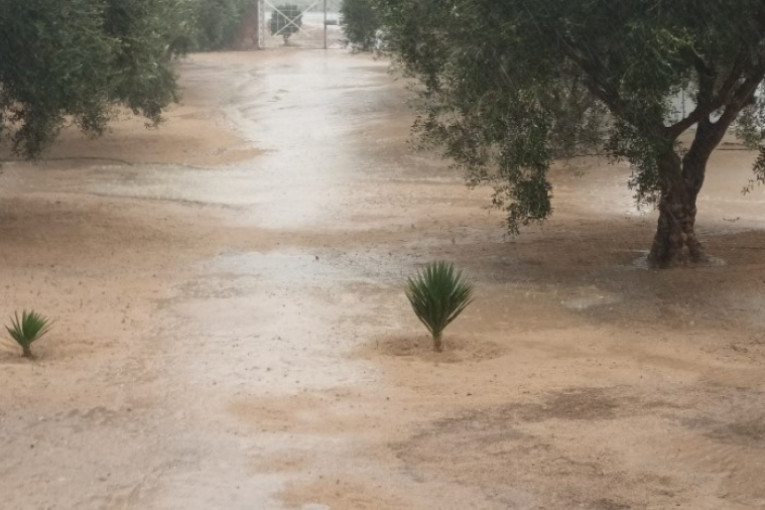 القيروان: تهاطل كميات هامة من الأمطار.. بعد 3 سنوات من الجفاف