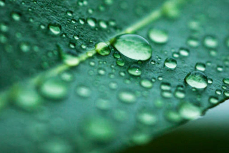 أمطار منتظرة خلال الليلة