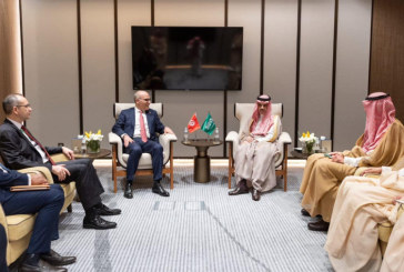 وزير الخارجية يُجري محادثات مع نظرائه في سوريا وفلسطين والسعودية