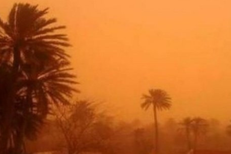 قبلي: الحماية المدنية تحذّر من رياح تصل سرعتها 70 كلم/س وتُثير الرمال والأتربة