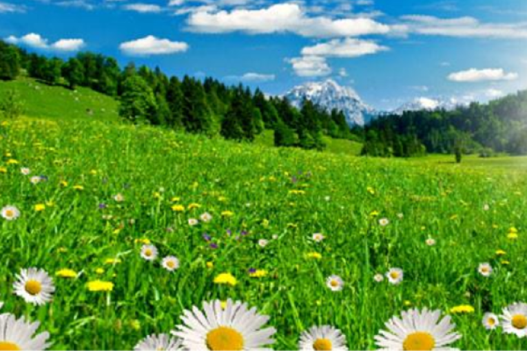 ارتفاع طفيف في درجات الحرارة