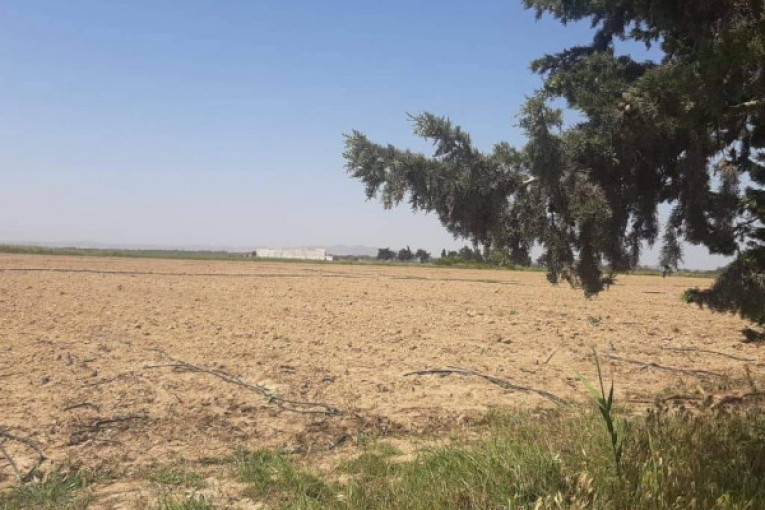 زغوان: استرجاع عقارين دوليين بمنطقة الزريبة