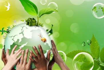 غدا: مشروع ‘التأثير الأخضر’ يعلن عن المؤسستين الناشئتين الفائزتين بدعمه في مجال إحداث المشاريع الخضراء في تونس