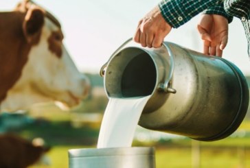 شكري الرزقي: الزيادة في أسعار الحليب عند الإنتاج يجب ان لا تقل عن 500 مليما