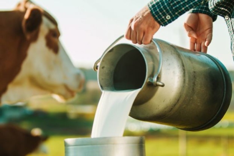 شكري الرزقي: الزيادة في أسعار الحليب عند الإنتاج يجب ان لا تقل عن 500 مليما