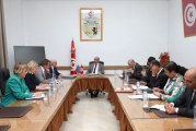 مشاريع التّعاون في مجالي النهوض الاجتماعي والهجرة محور لقاء وزير الشؤون الاجتماعية بسفير الاتحاد الاتحاد الاوروبي بتونس