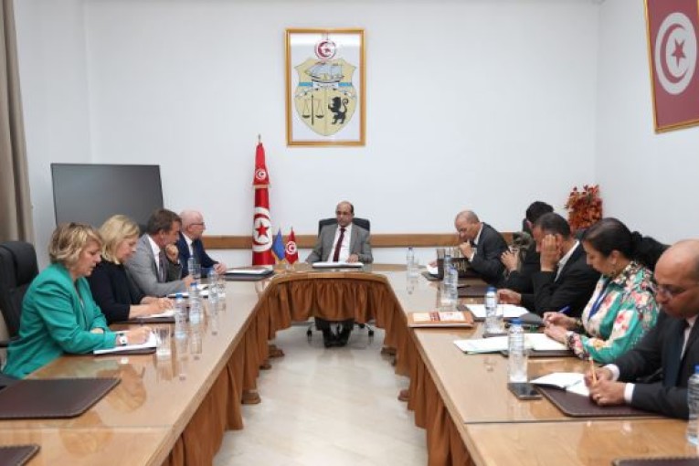 مشاريع التّعاون في مجالي النهوض الاجتماعي والهجرة محور لقاء وزير الشؤون الاجتماعية بسفير الاتحاد الاتحاد الاوروبي بتونس