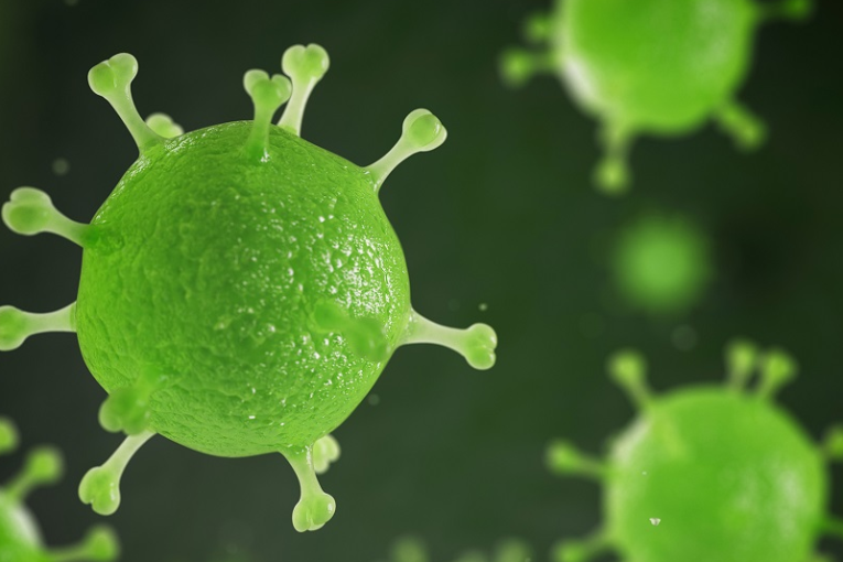 عضو باللجنة العلمية: أضحى من الممكن التعايش مع كورونا باتباع الإجراءات الوقائية اللازمة