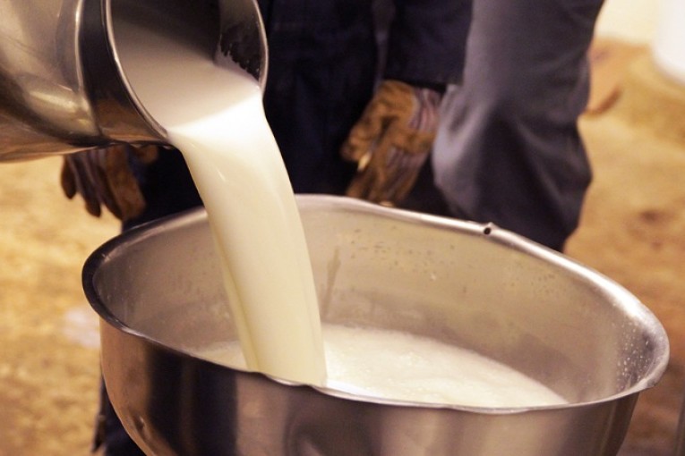 باجة: رصد 8 إصابات بمرض الحمى المالطية