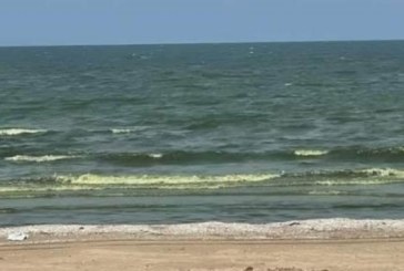 المدير الجهوي لوكالة حماية وتهيئة الشريط الساحلي: تغير لون مياه شاطئ حمام الأنف هو حالة طبيعية لا علاقة لها بالتلوث’