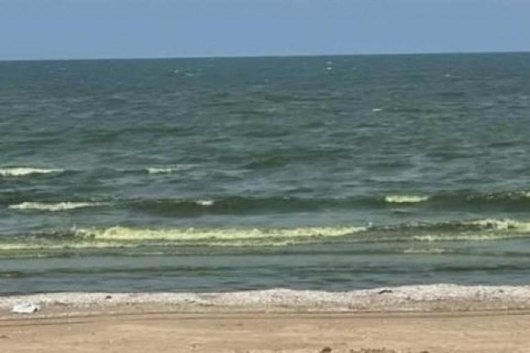 المدير الجهوي لوكالة حماية وتهيئة الشريط الساحلي: تغير لون مياه شاطئ حمام الأنف هو حالة طبيعية لا علاقة لها بالتلوث’