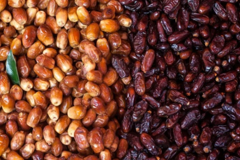 قبلي: تقنيات جديدة لتحسين مردودية النخيل في ظلّ التغيرات المناخية