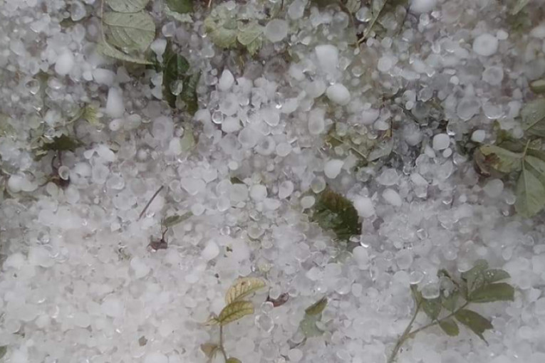 البرَد يلحق أضرارا كبيرة بالاشجار المثمرة بباجة وتستور