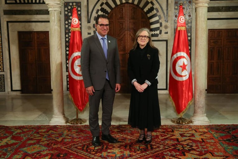 بودن تستقبل الأمين العام للمعهد الدولي للديمقراطية والمساعدة على الانتخابات ”IDEA”